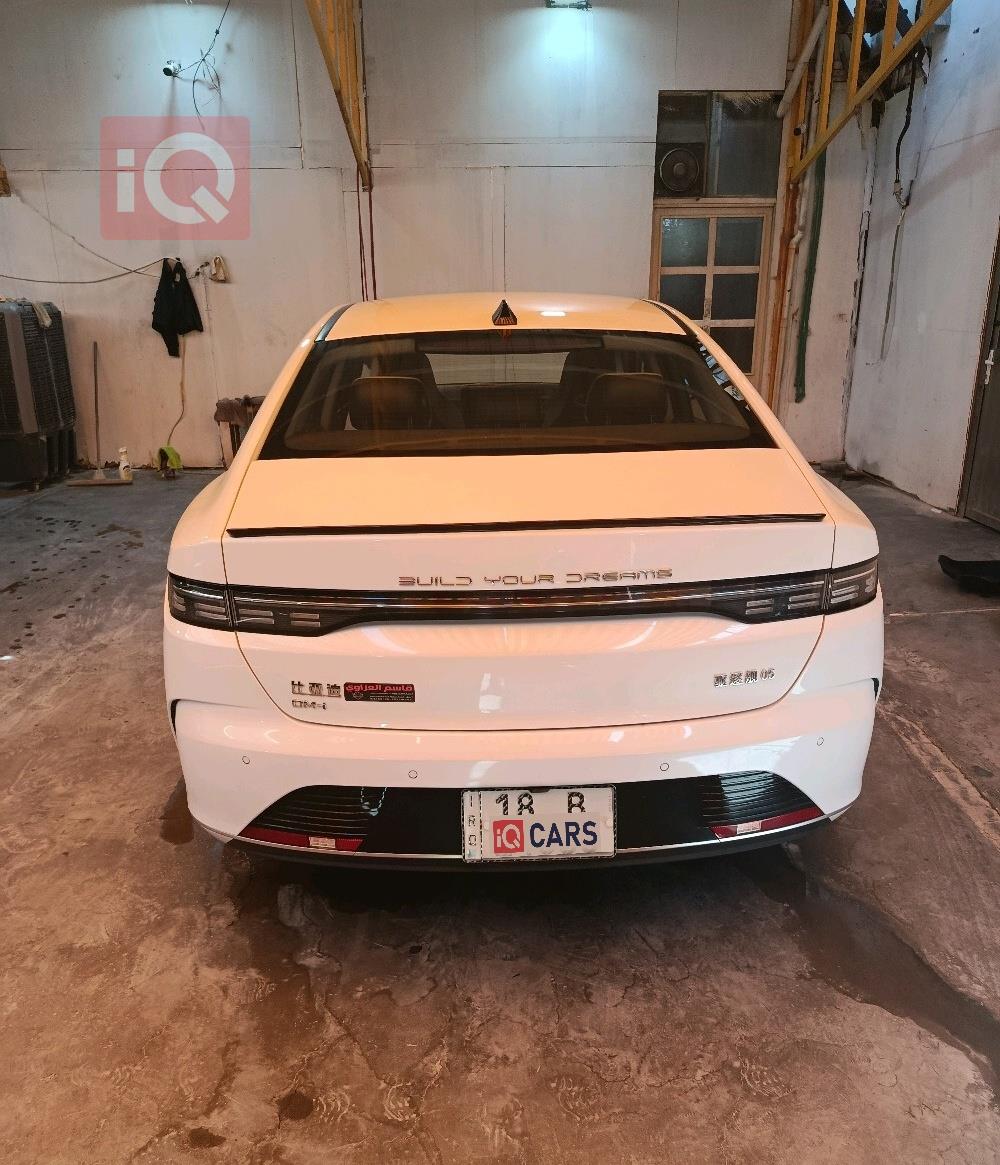BYD Destroyer 05